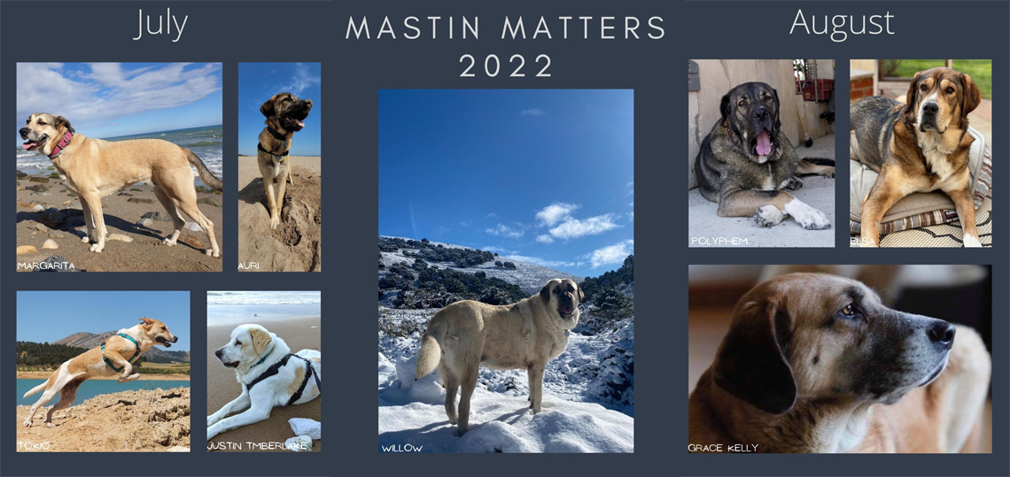 Mastin Matters 2022 Calendar