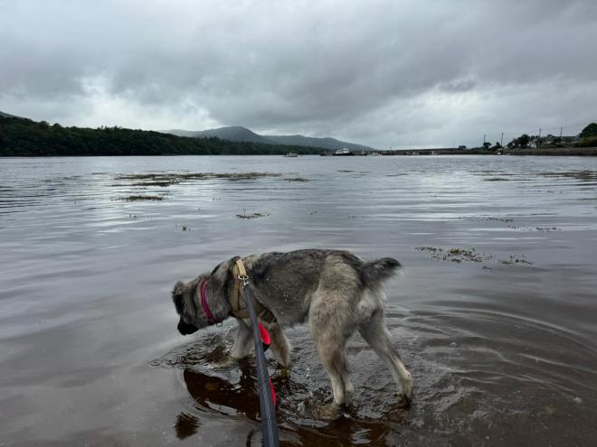 Grace in the sea