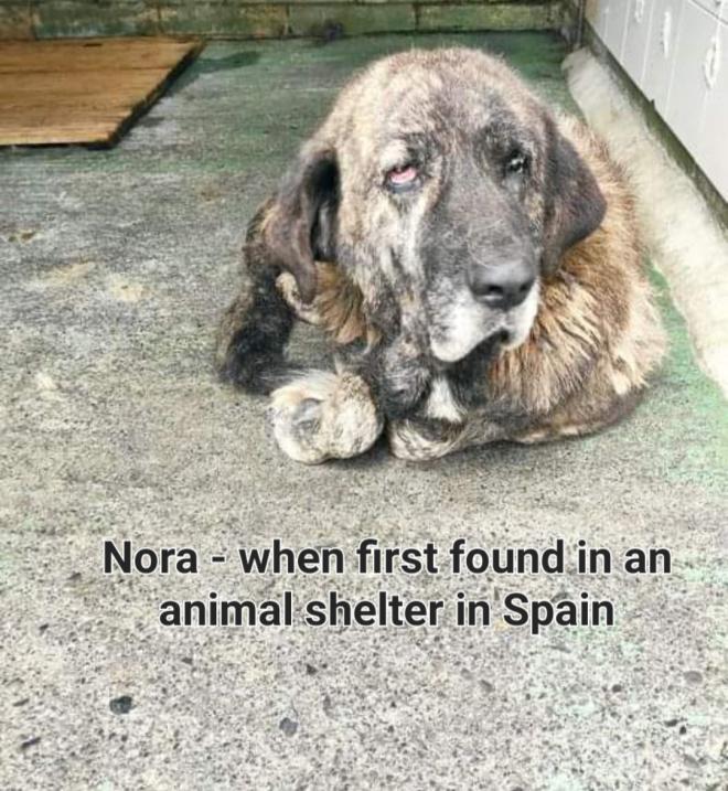 In Spanish shelter