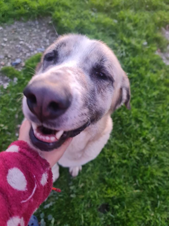 Gentle girl