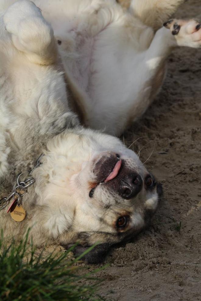 Upside down